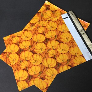 50 10x13 Fruit Combo CITRUS WATERMELON Pumpkin and PINEAPPLE Poly Mailers Self Sealing Envelopes image 6