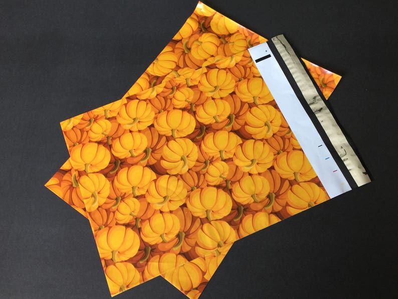 50 10x13 Fruit Combo CITRUS WATERMELON Pumpkin and PINEAPPLE Poly Mailers Self Sealing Envelopes image 6