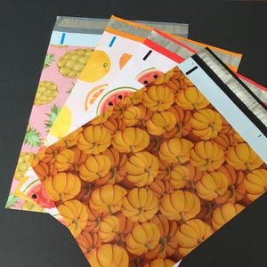 50 10x13 Fruit Combo CITRUS WATERMELON Pumpkin and PINEAPPLE Poly Mailers Self Sealing Envelopes image 1