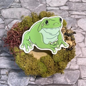 Grön, Vits trädgroda, Dumpy Frog, Vinylklistermärke
