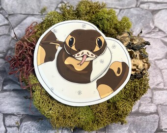 Pitone pezzato, serpente, rettile, adesivo in vinile