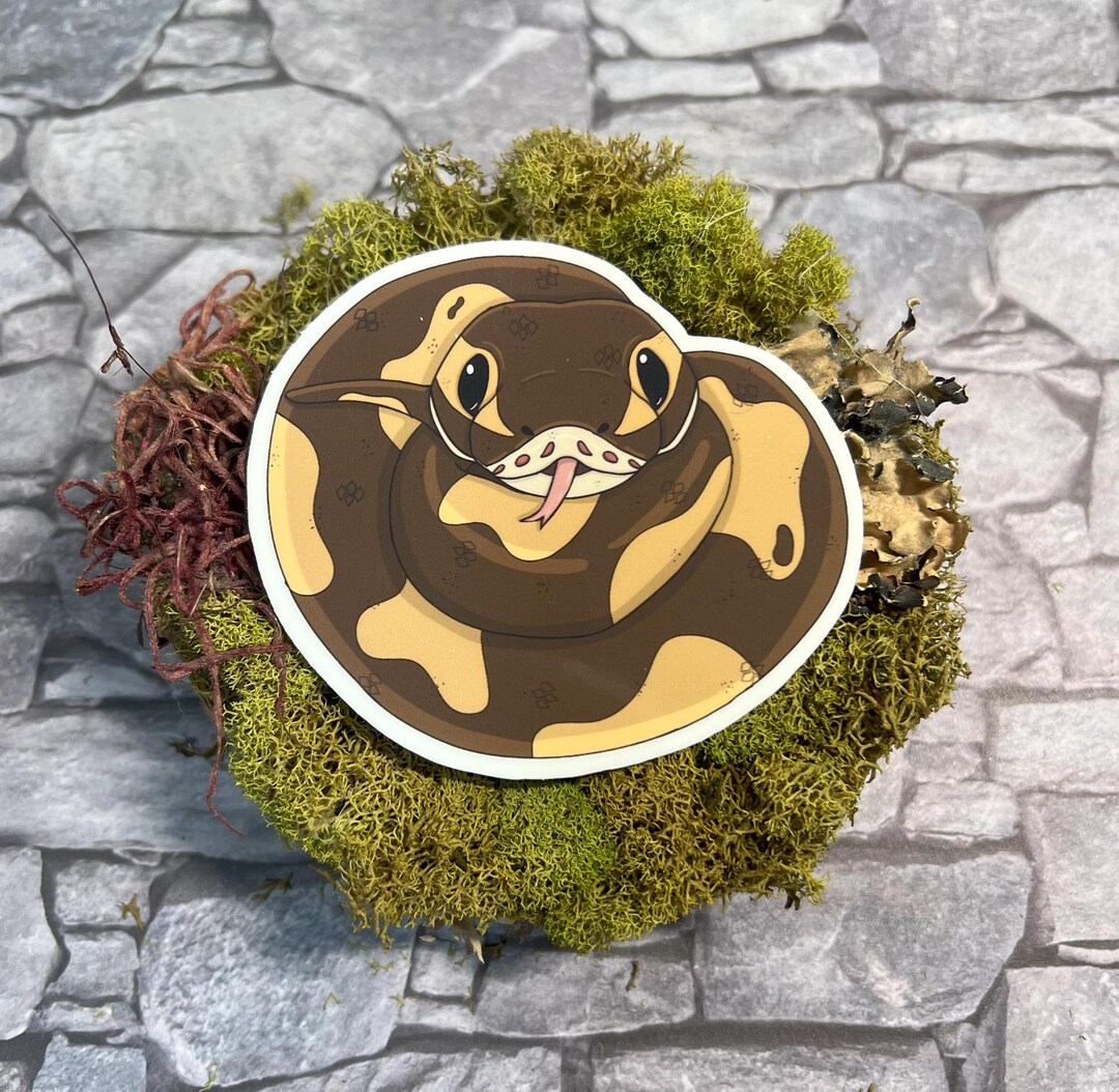 Ball Python, Snake, Vinyl Sticker - Etsy
