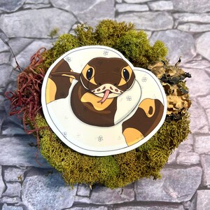 Puede incluir: Una pegatina circular con una ilustración de estilo dibujo animado de una pitón bola con manchas de color marrón oscuro, marrón claro y crema. La serpiente está enroscada en círculo con la cabeza hacia adelante, mostrando grandes ojos negros y una lengua rosa.