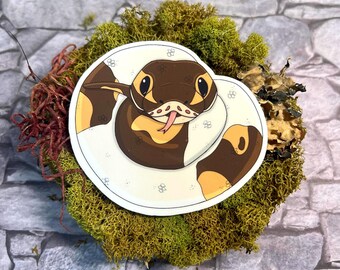 Pitón bola, pío, serpiente, reptil, pegatina de vinilo