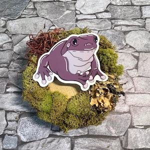 Lila, Vits trädgroda, Dumpy Frog, Vinylklistermärke