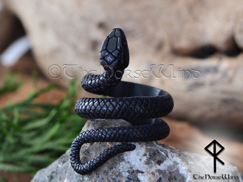 K&ouml;nnte beinhalten: Schwarzer Schlangenring mit einem gewundenen Design. Der Ring ist aus Metall und hat eine strukturierte Oberfl&auml;che.