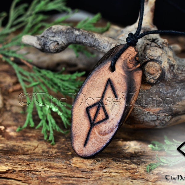 Health Rune Bindrune - Etsy