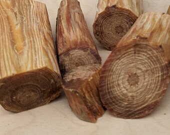 Fatwood. Indivudual piece or lumpwood chunks (50g)  - hand processed-natural firestarter