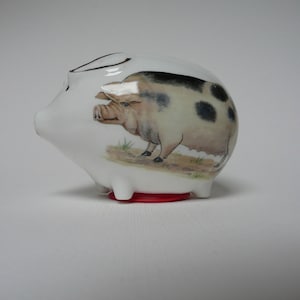 May include: White ceramic piggy bank with a black and white painted pig design. The pig has black spots and is standing on a grassy field.