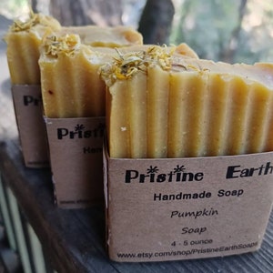 Pumpkin Puree Soap Bar | Warm Pumpkin Pie Scent | Handmade Autumn Soap | Fall Skincare Treat