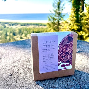 May include: A brown cardboard box with a white label that says "Coffee Alt Collection" and lists herbal coffees included: Tinkerville 1841, Pacific Bay Bold, Cole & le Beach, Rainier Rebel, and Beach Brew. The box is sitting on a gray rock with a blurred background of a beach and trees.