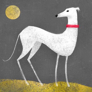 WHITE GREYHOUND