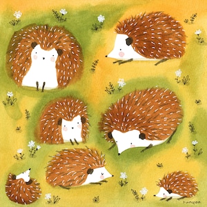 HEDGEHOGS