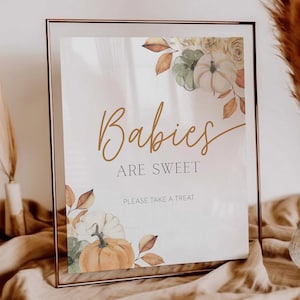 printable babies are sweet sign // fall baby shower, pumpkin, fall floral, gender neutral, printable baby shower sign