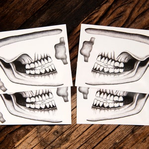 May include: Four sheets of white paper with black and white printed images of a skull's teeth and jawbone. The images are arranged in pairs, with two sheets showing the teeth and jawbone from the left side and two sheets showing the teeth and jawbone from the right side.