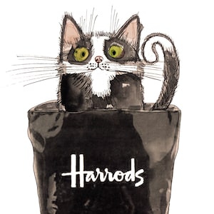 original cat art, cat illustration, pen and ink on  paper, cat in a bag,  cat home decor art for cat lovers on specialist fine art paper