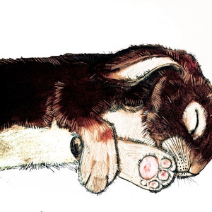 rabbit art, original art rabbit, ink art rabbit, rabbit lovers art, pen and ink , brown rabbit, rabbit illustration, sleepy rabbit art