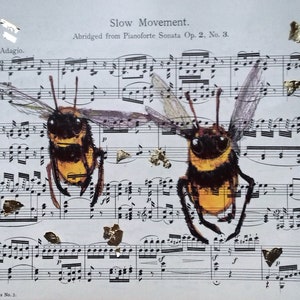 Bee wall art ink on vintage music score picture