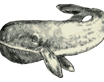 original pen and ink whale art, original sea creature art, creature of the deep, moby dick illustration, leviathan art, whale original art