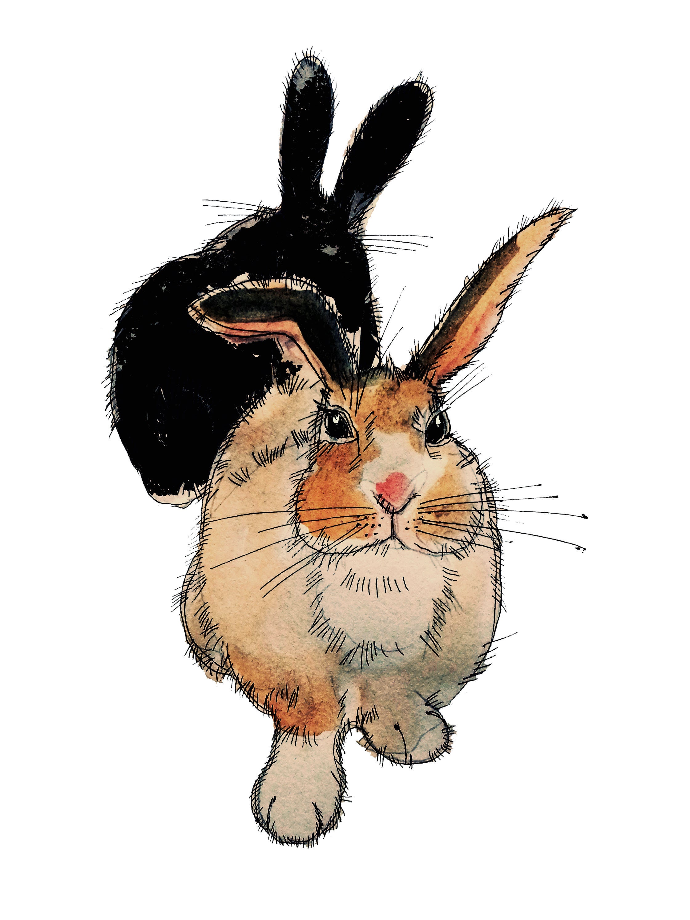 Original Rabbit Art 2 Rabbits Pen and Ink Rabbits Rabbits - Etsy Original Rabbit Art 2 Rabbits Pen and Ink Rabbits Rabbits - Etsy