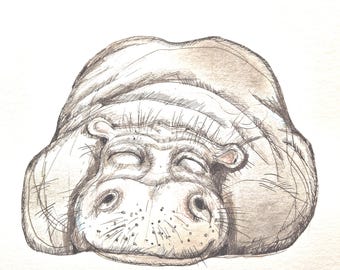 カバの鉛筆画プリント | 野生動物の肖像画 | アーティスト Gary Tymon