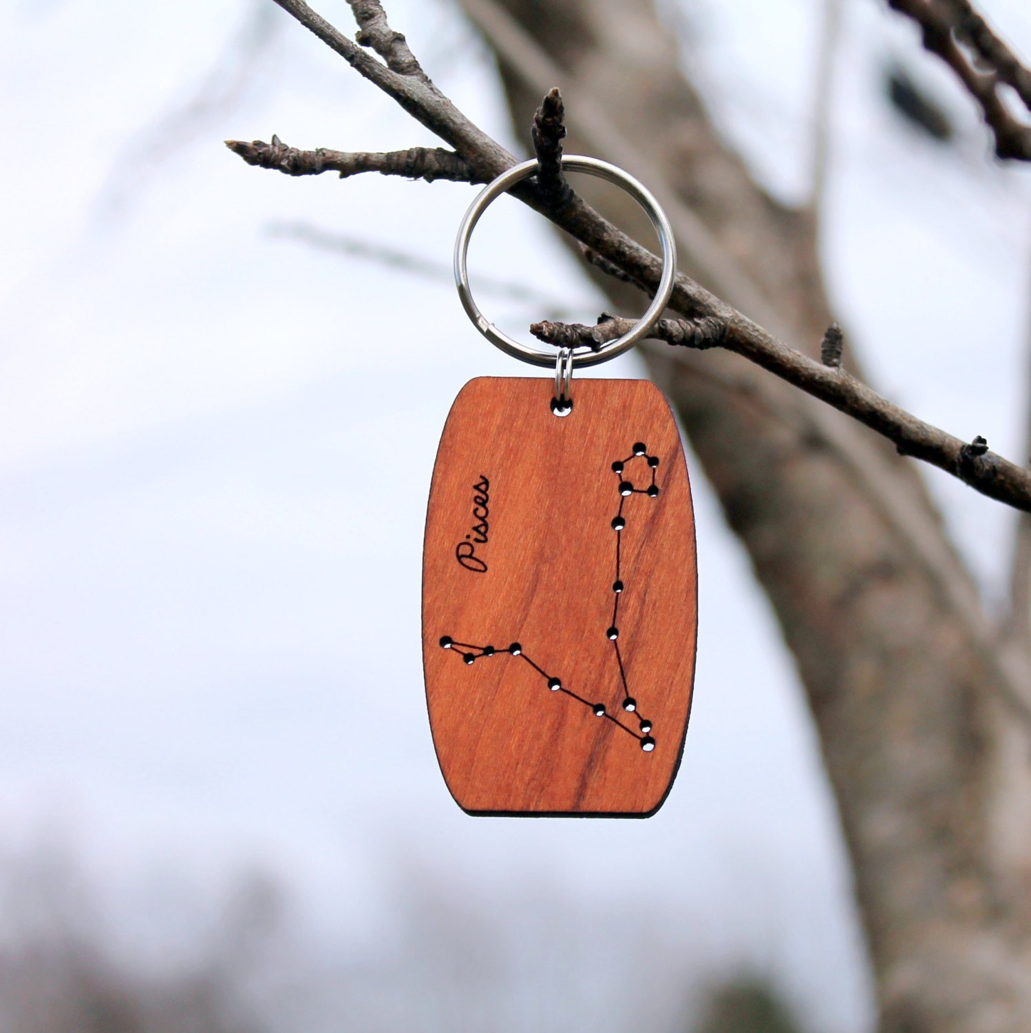 OEHEDOU Cancer Zodiac Keychain - Stainless Steel Constellation Gift For Birthday, Horoscope Lovers - View #11