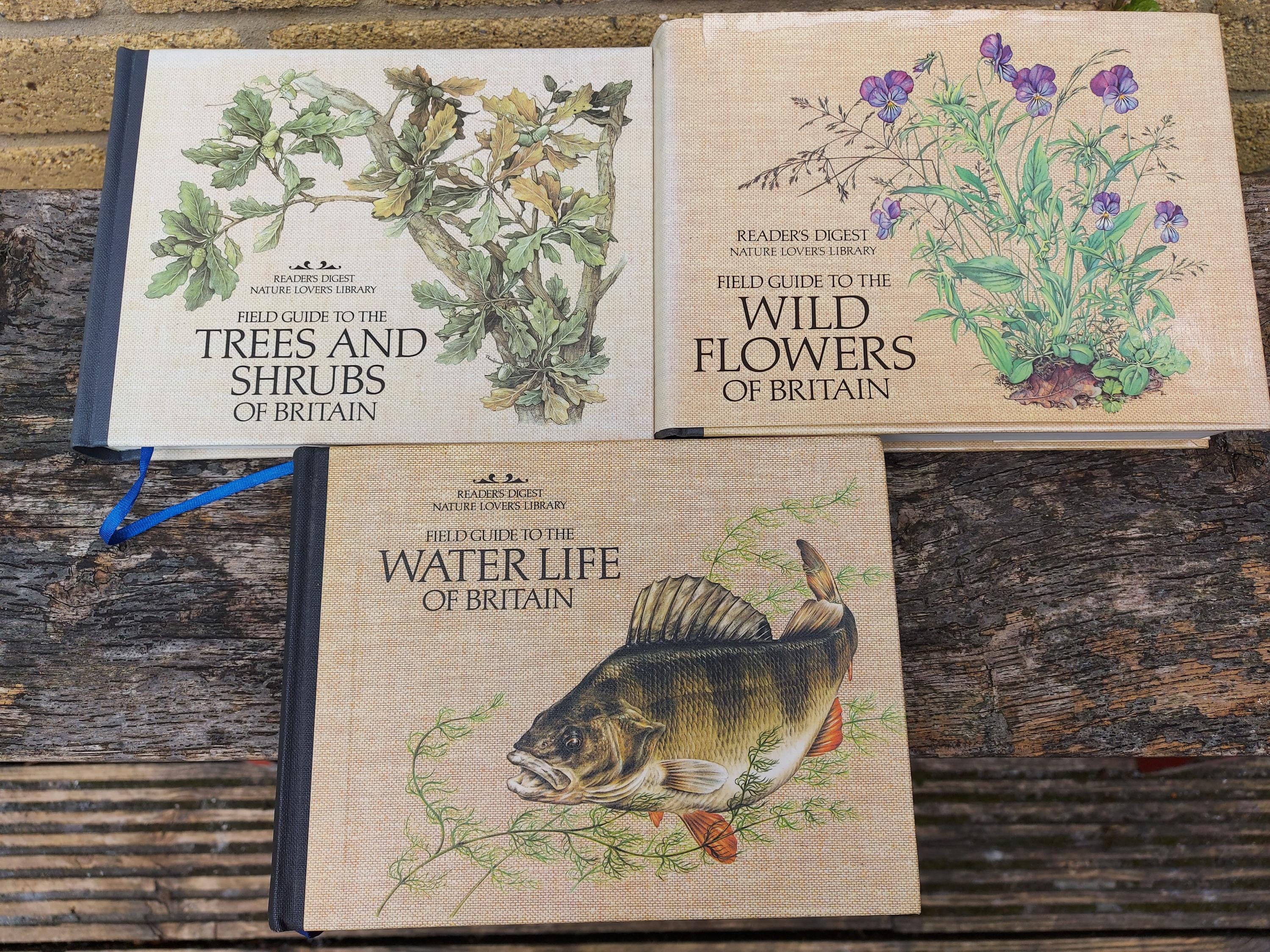 Readers Digest Field Guide - Etsy UK