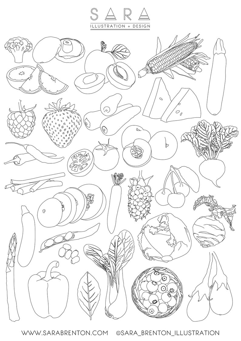 Fruits et légumes Illustrations Feuille de coloriage  Etsy