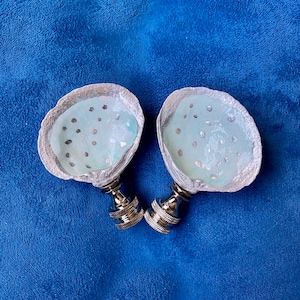 Decorated Clam Shell Lamp Finials