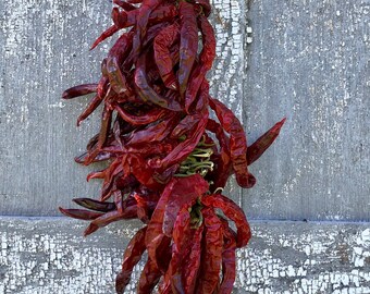 Dried Chili Peppers, String of Chili Peppers, Bunch of Chili Peppers, Real Dried Chili Peppers, Strung Chili Peppers, Hanging Chili Peppers,