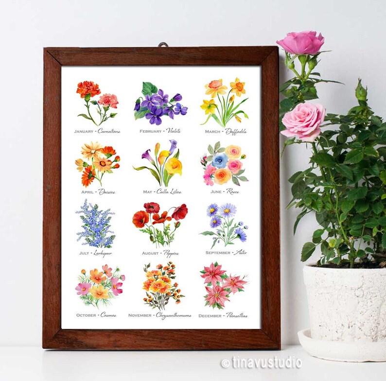 Birth Month Flowers Flowers of the Months Floral Poster Etsy