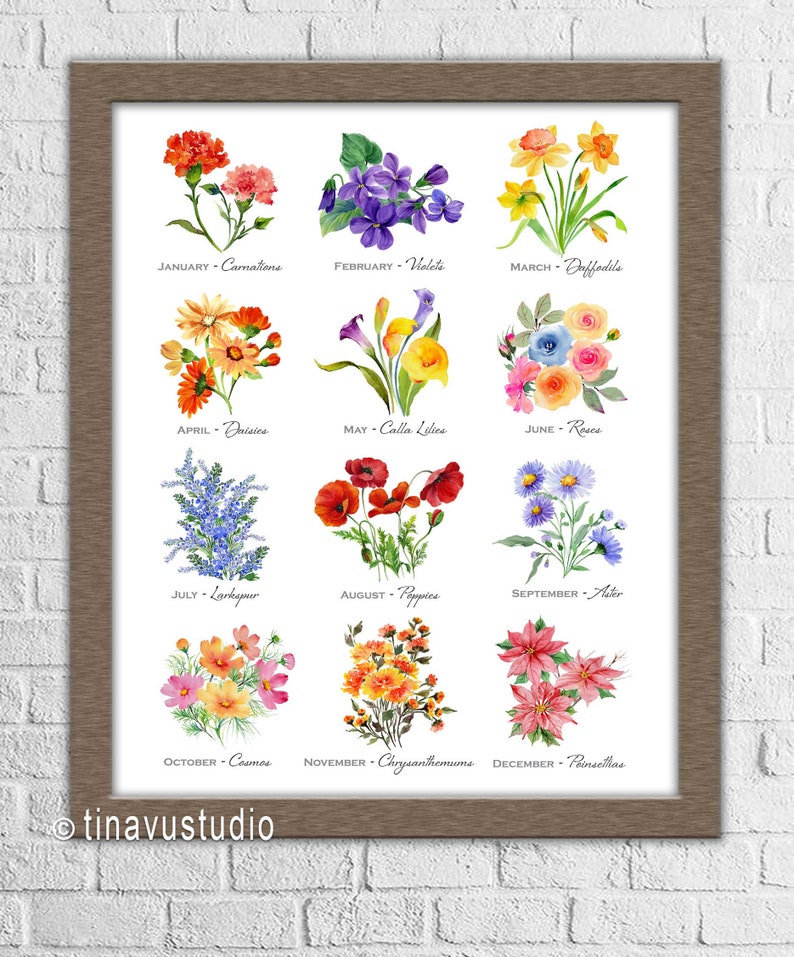 Birth Month Flowers Flowers of the Months Floral Poster Etsy