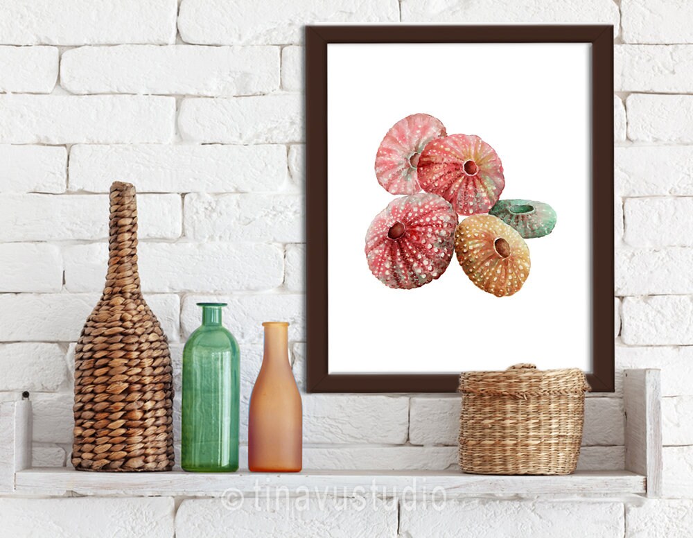 Watercolor Sea Urchin Shells Beach House Decor Ocean Theme - Etsy