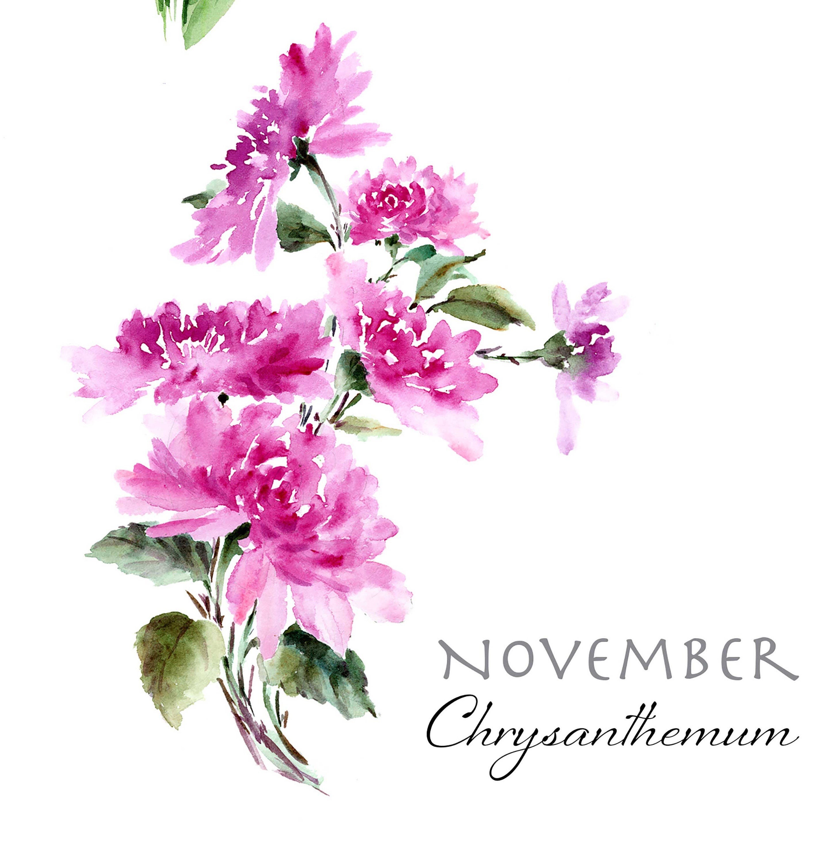 Digital Download Watercolor Floral Paintings Birth Month Etsy