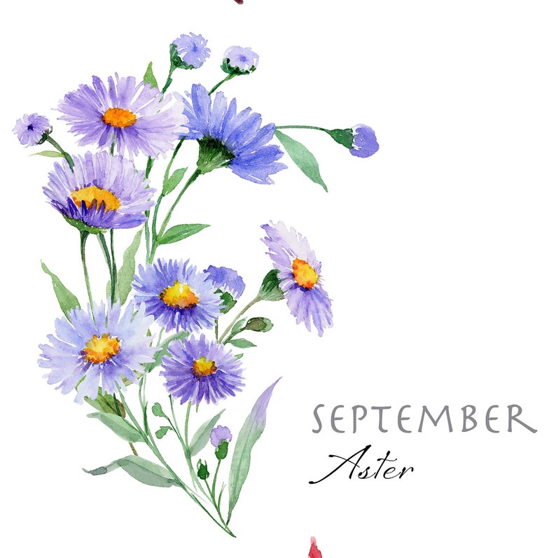 Digital Download Watercolor Floral Paintings Birth Month Etsy