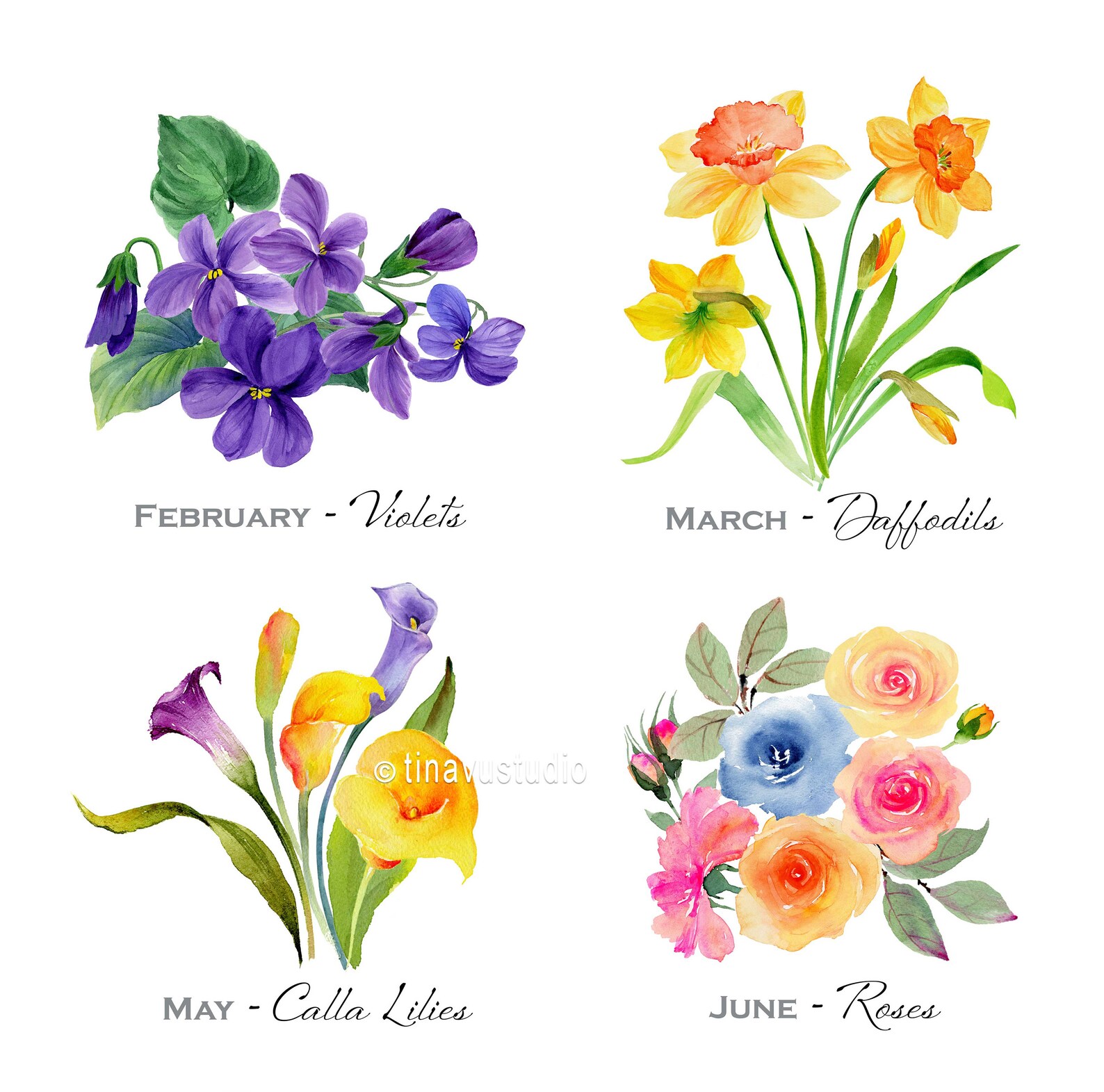 Birth Month Flowers Flowers of the Months Floral Poster Etsy