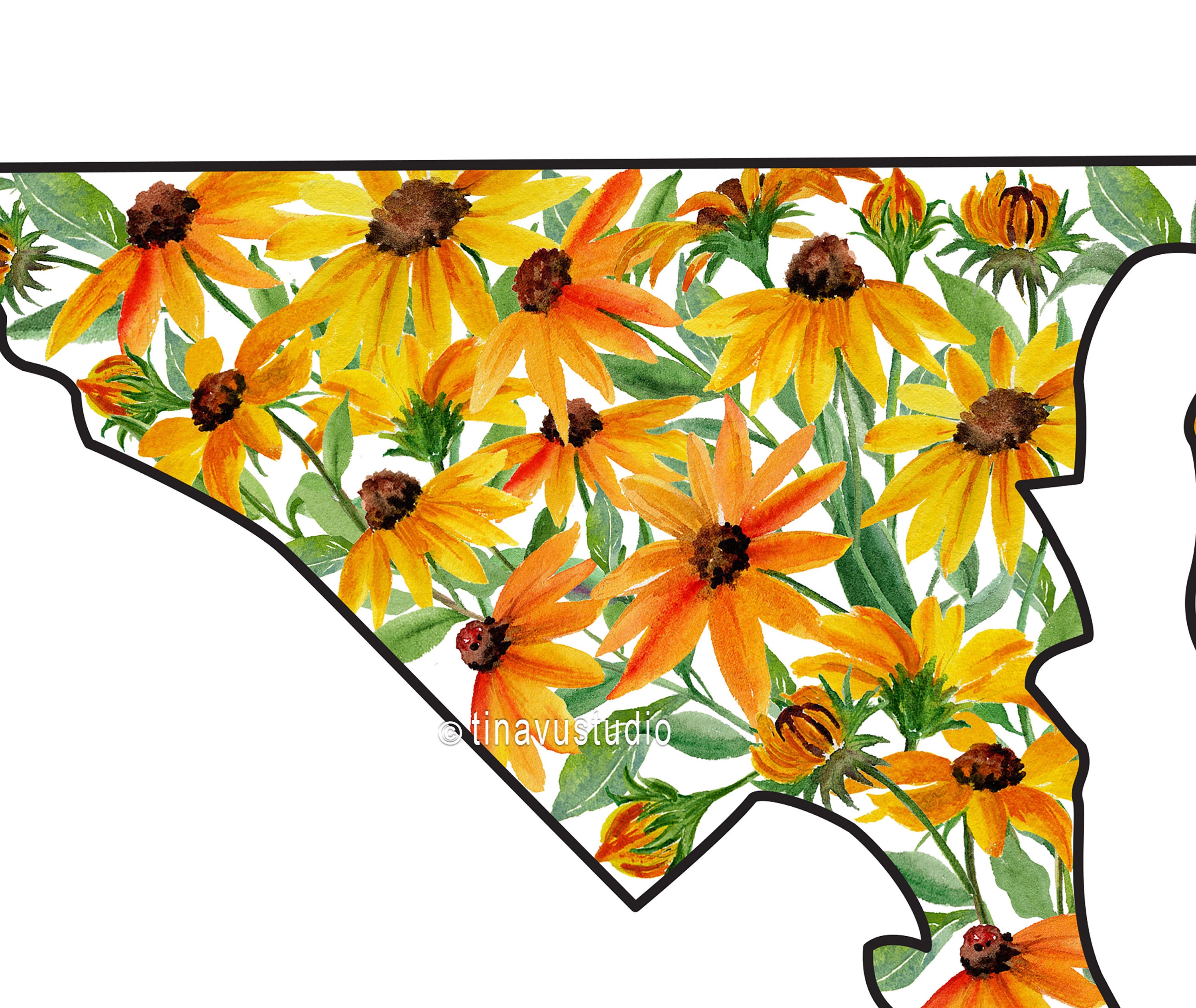 Maryland State Flower, Black Eyed Susan Watercolor, Flower Painting Printable, State Flower ...