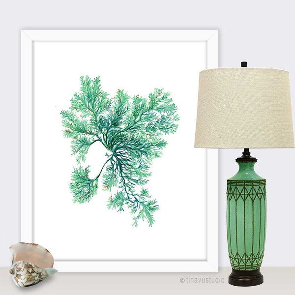 Coral and Mint Green - Etsy