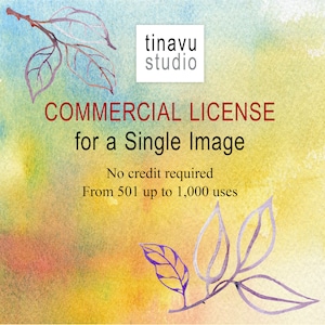commercial license, license to print, license for a single image, small business license, up to 1,000 sales, license for digital download