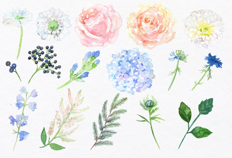 Watercolor flowers Watercolor floral Flower clipart Rose clipart Peony clipart Wedding clipart Floral clipart Watercolor clipart