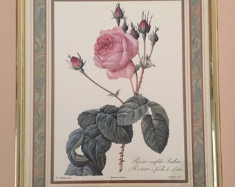 Vintage Botanic Print of Pink Rose in Gold Tone Metal Frame - no hardware for hanging it on the wall