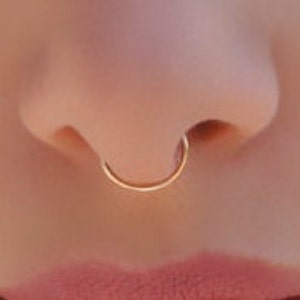 Cartilage Earring Hoop Piercing Helix Ring Septum Nose Tragus Daith Rook Conch 22g 20g 18g Seamless Hoop Earrings Gold Silver Rose Gold image 6