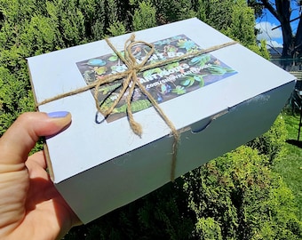 Colorful Succulents Handpicked Larger Cuttings Box: No Repeats, Live Plants, delivered to door Express Post