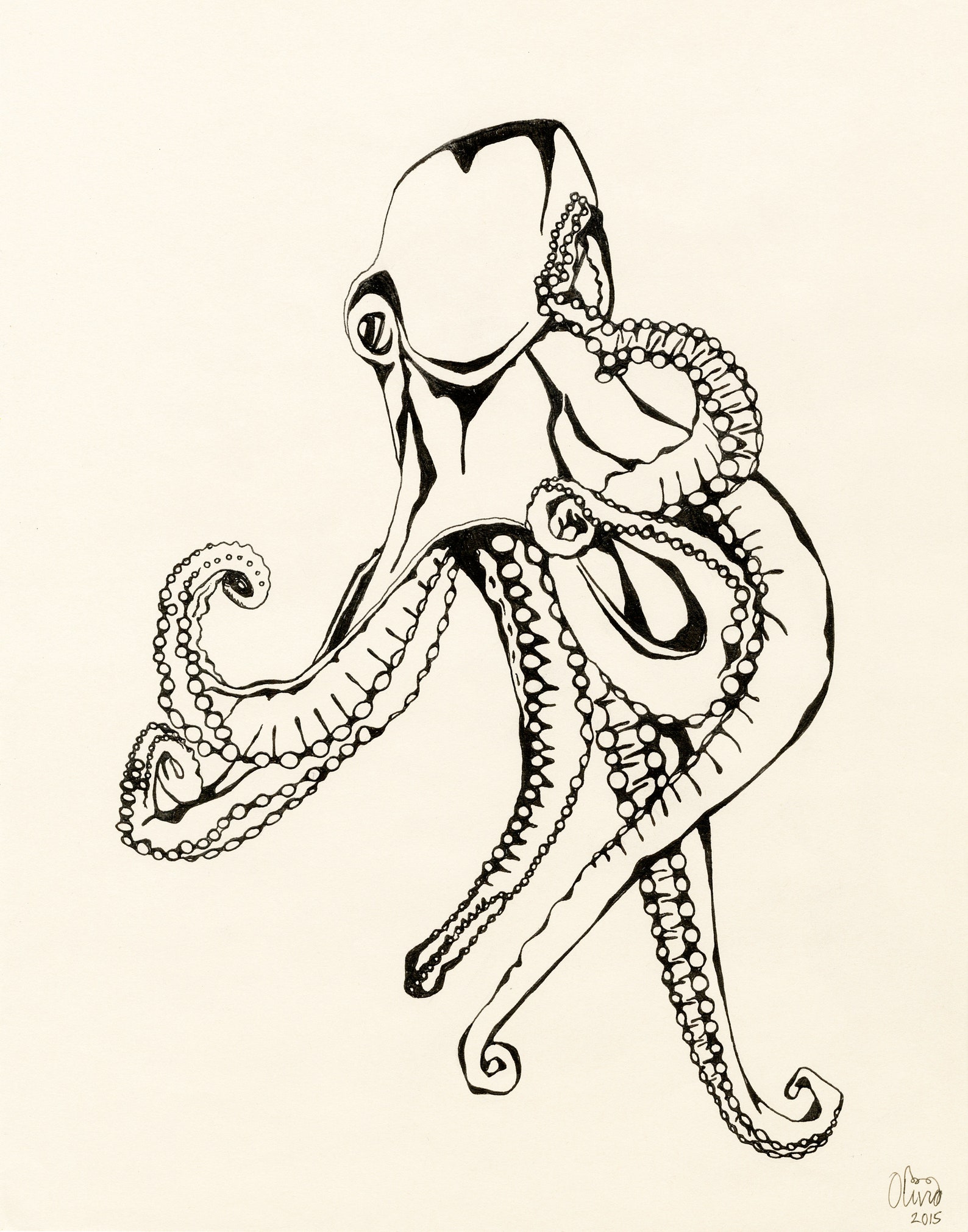 OCTOPUS PRINT Detailed Pen & Ink Drawing of an Octopus Home Decor Wall