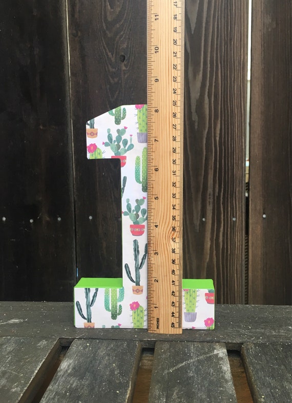 Number 1 Photo Prop,First Birthday,Cactus Number 1,Cactus ThemeSucculent,First Fiesta,Number One,Photo Prop,Cake Smash,Table Centerpiece