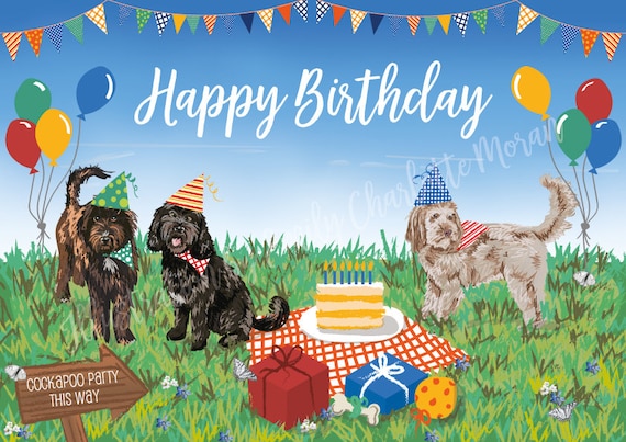 cockapoo birthday