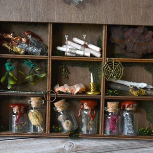 Сhest of curiosities, Alchemy ingedients box, Oddities in wooden box, LARP props, RPG accessories