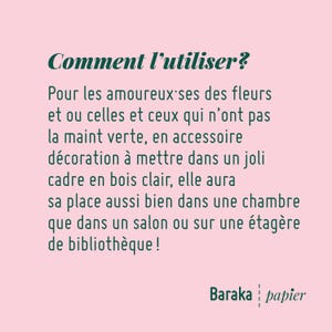 Puede incluir: Un fondo rosa con texto verde que dice "Comment l'utiliser?" y contin&uacute;a con instrucciones sobre c&oacute;mo usar el producto. El texto dice "Pour les amoureux ses des fleurs et ou celles et ceux qui n'ont pas la maint verte, en accessoire d&eacute;coration &agrave; mettre dans un joli cadre en bois clair, elle aura sa place aussi bien dans une chambre que dans un sal&oacute;n o en una estanter&iacute;a de la biblioteca!" El texto "Baraka papier" est&aacute; en la parte inferior de la imagen.