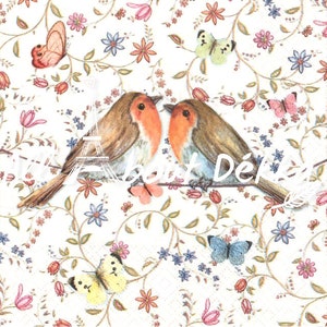 May include: Two brown and orange robins perched on a branch with a white background. The background is covered in a floral pattern with pink, blue, and yellow flowers. There are also butterflies in the background.