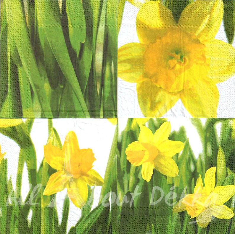 Assorted Decoupage Napkins Set Vintage Flowers Roses Etsy